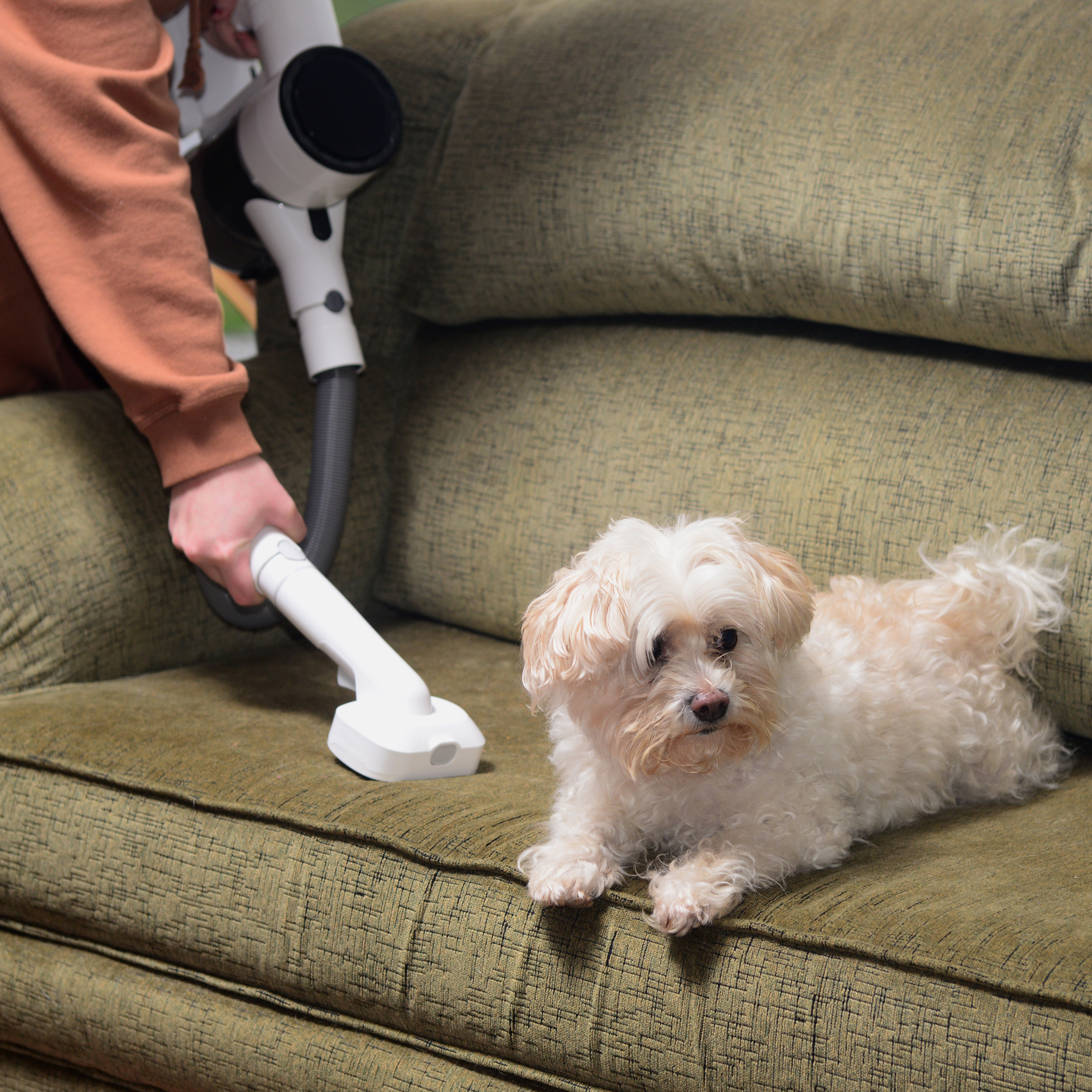 EdenPURE® Bio SpeedCLEAN VX300 Pet Brush Accessory Kit — EPPBVX300