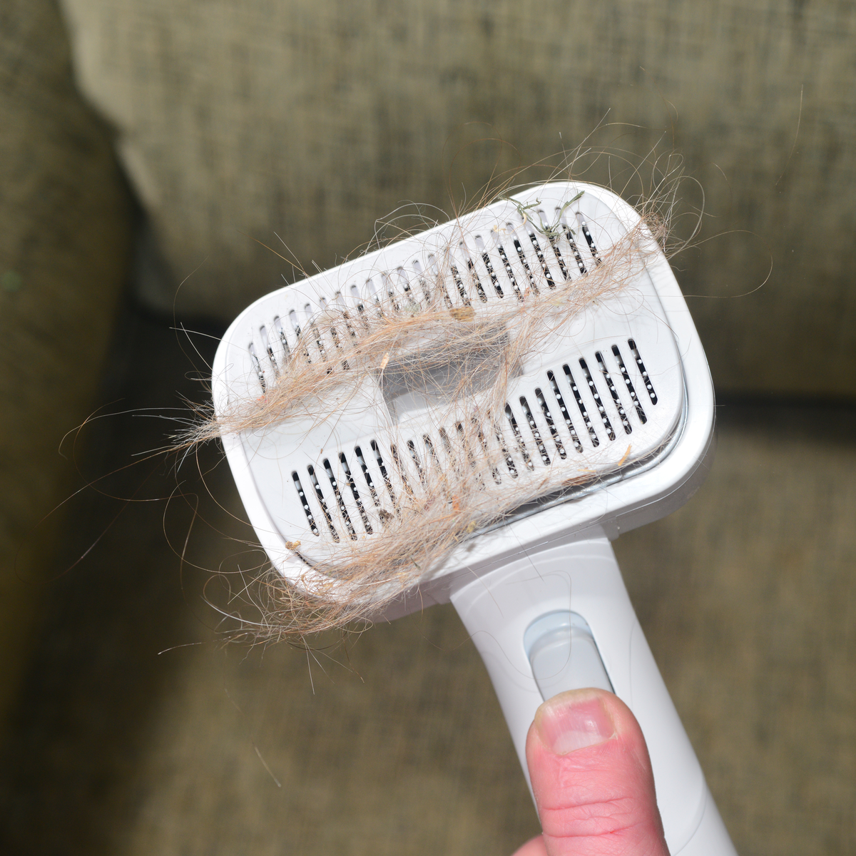 EdenPURE® Bio SpeedCLEAN VX300 Pet Brush Accessory Kit — EPPBVX300