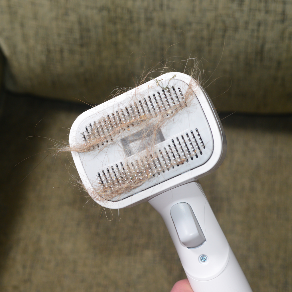 EdenPURE® Bio SpeedCLEAN VX300 Pet Brush Accessory Kit — EPPBVX300